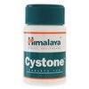 trasted-tablets-Cystone